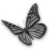 Neutral Butterfly
