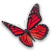 Red butterfly